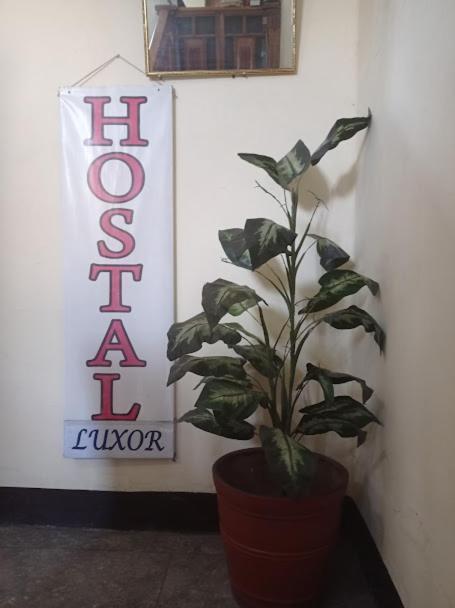 Luxor Hostel Αρεκίπα Εξωτερικό φωτογραφία